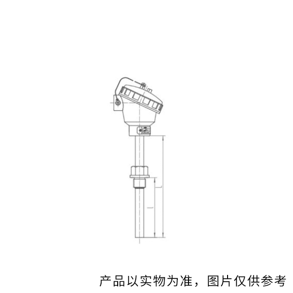 重庆川仪 装配热电阻